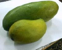 Global B2B directory Global trade lead